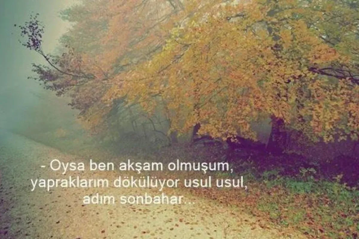 Sonbaharın Büyüleyici Güzelliği: Doğanın Altın Mevsimi