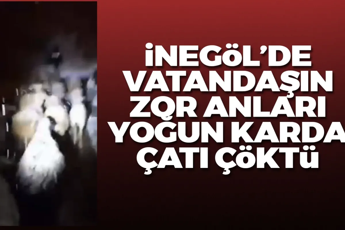 İnegöl'de ağılın çatısı çöktü, yoğun karda koyunlarıyla yola düştü