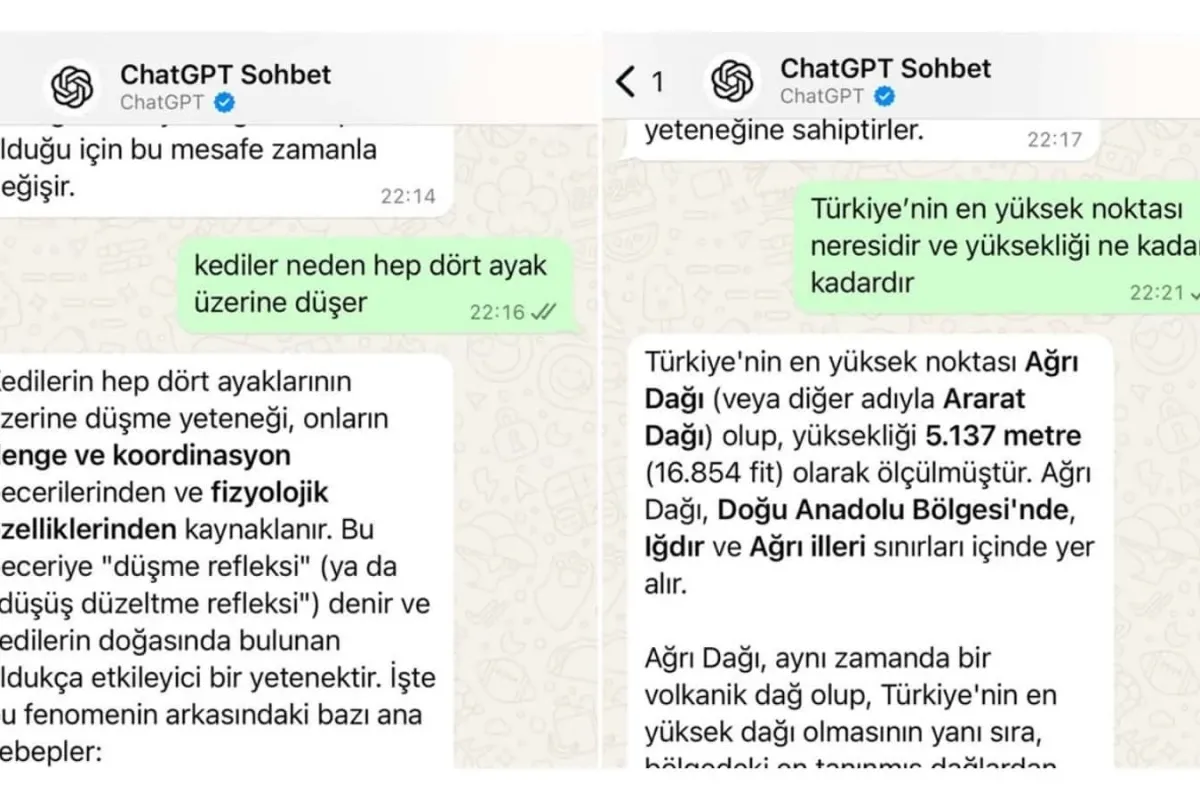 WhatsApp’ta ChatGPT’nin Gücünü Keşfedin!