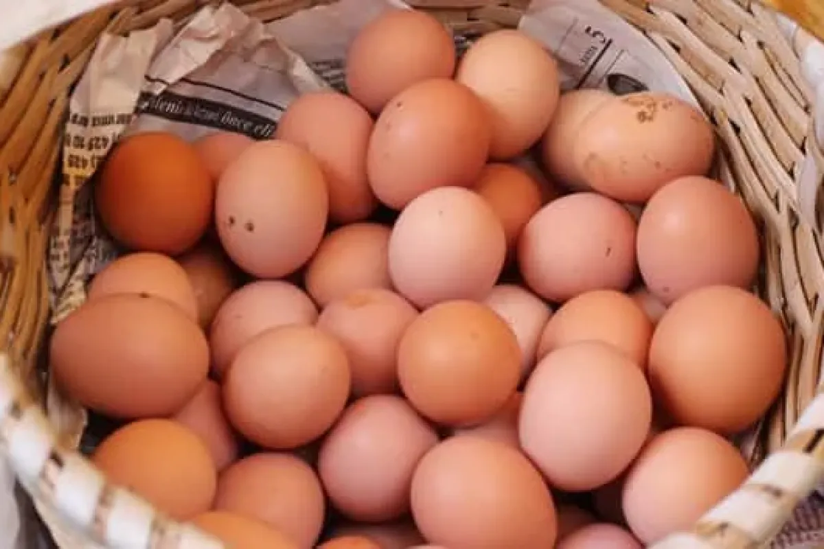 Yumurta fiyatları aldı başını gidiyor!