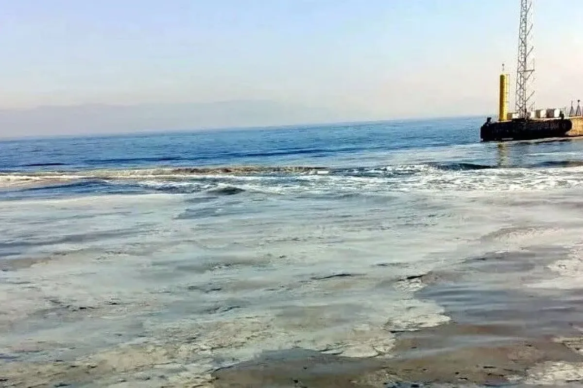 Ağlara balık yerine müsilaj takıldı