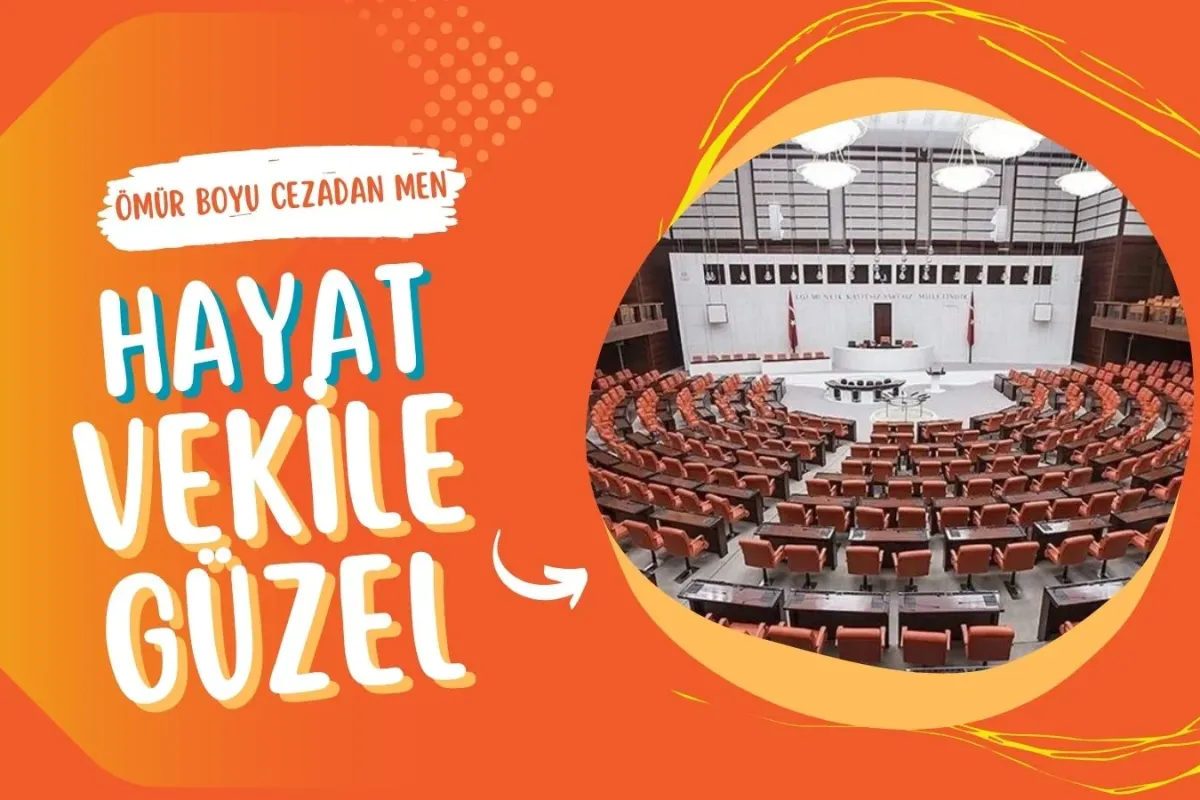 Milletvekillerine Yeni İmtiyaz! Trafik Kuralları Onları Bağlamayacak
