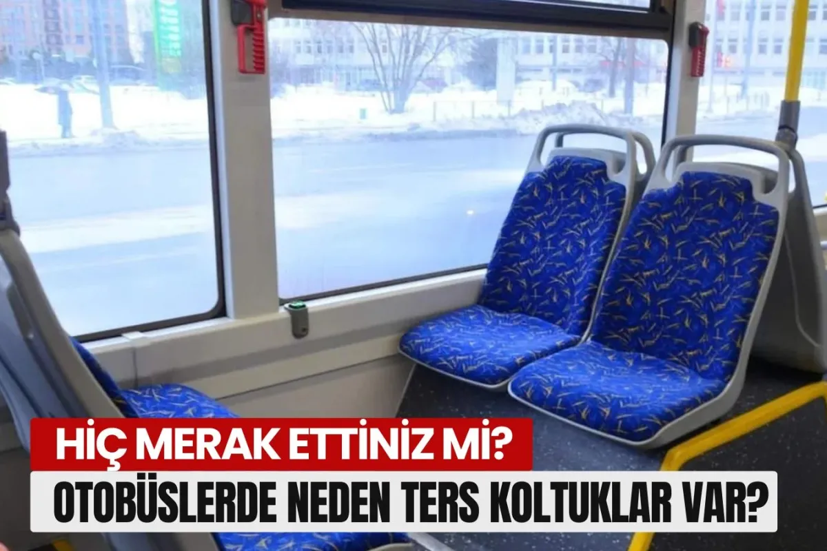 Hiç merak ettiniz mi, Otobüslerde Neden Ters Koltuklar Var? İşte Sebebi
