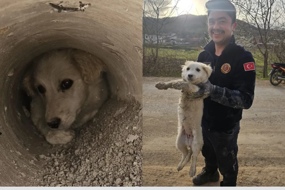 İtfaiye Gelince Gerçek Ortaya Çıktı!