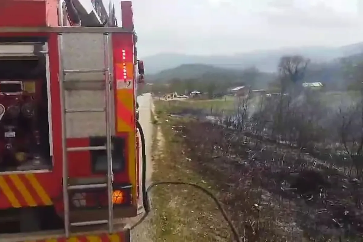 Camdan atılan izmarit yangına sebep oldu