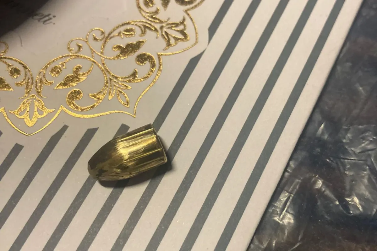 İnegöl’de Maganda Kurşunu Kamelyaya İsabet Etti