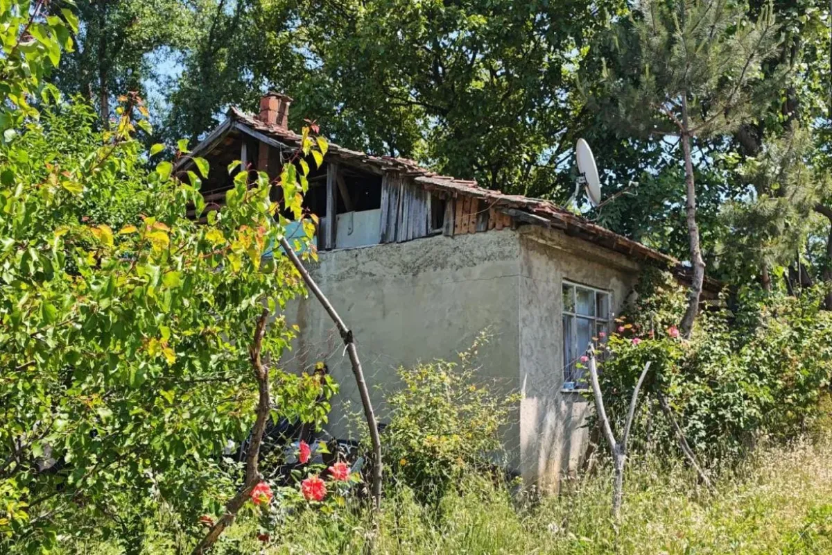 İnegöl'de üzüm yaprağı canından ediyordu!