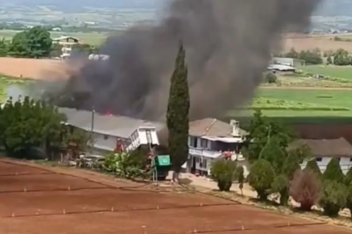 Yenişehir’de hayvan çiftliğinde büyük yangın