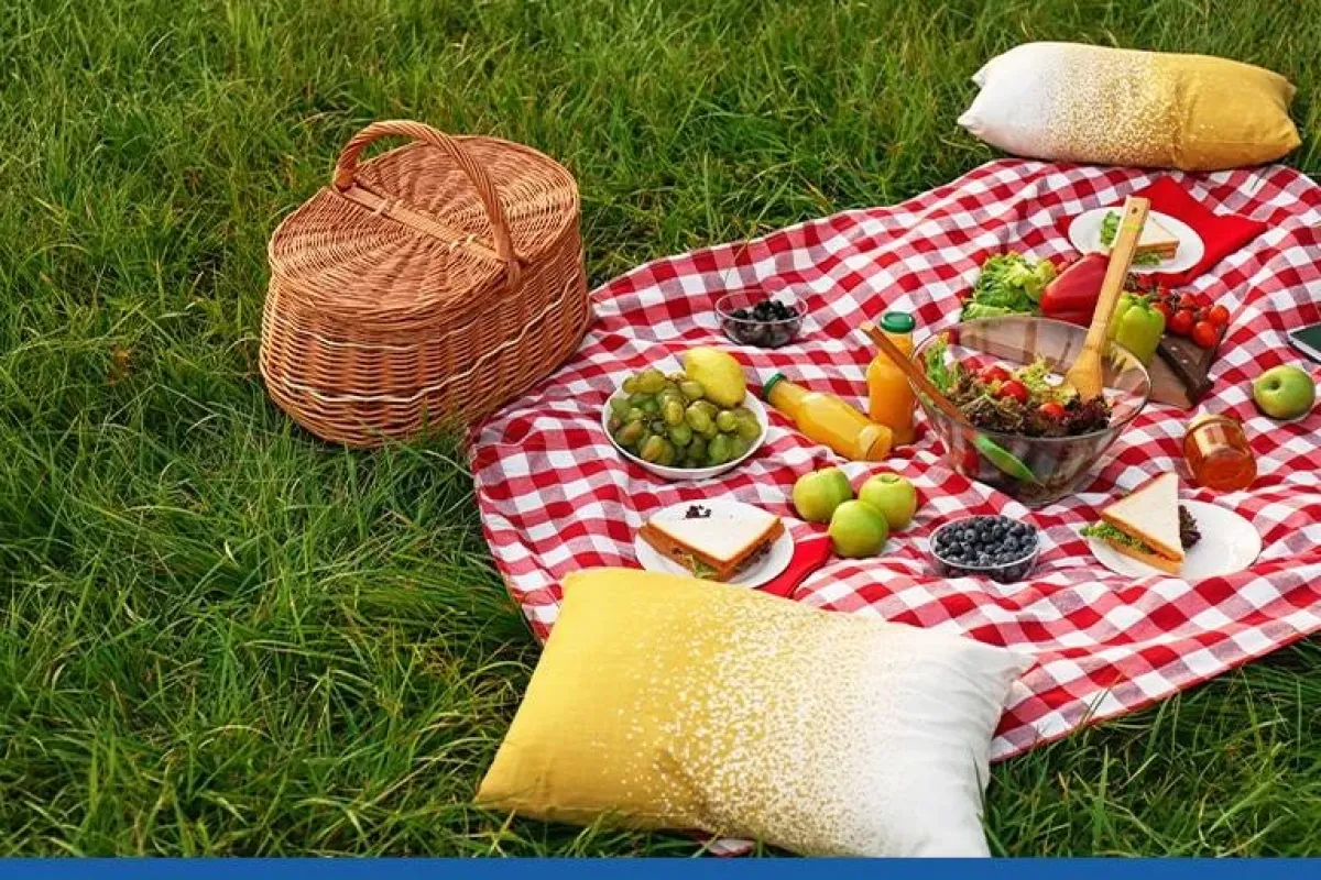 Pikniğe gidenler bu haberi mutlaka okuyun