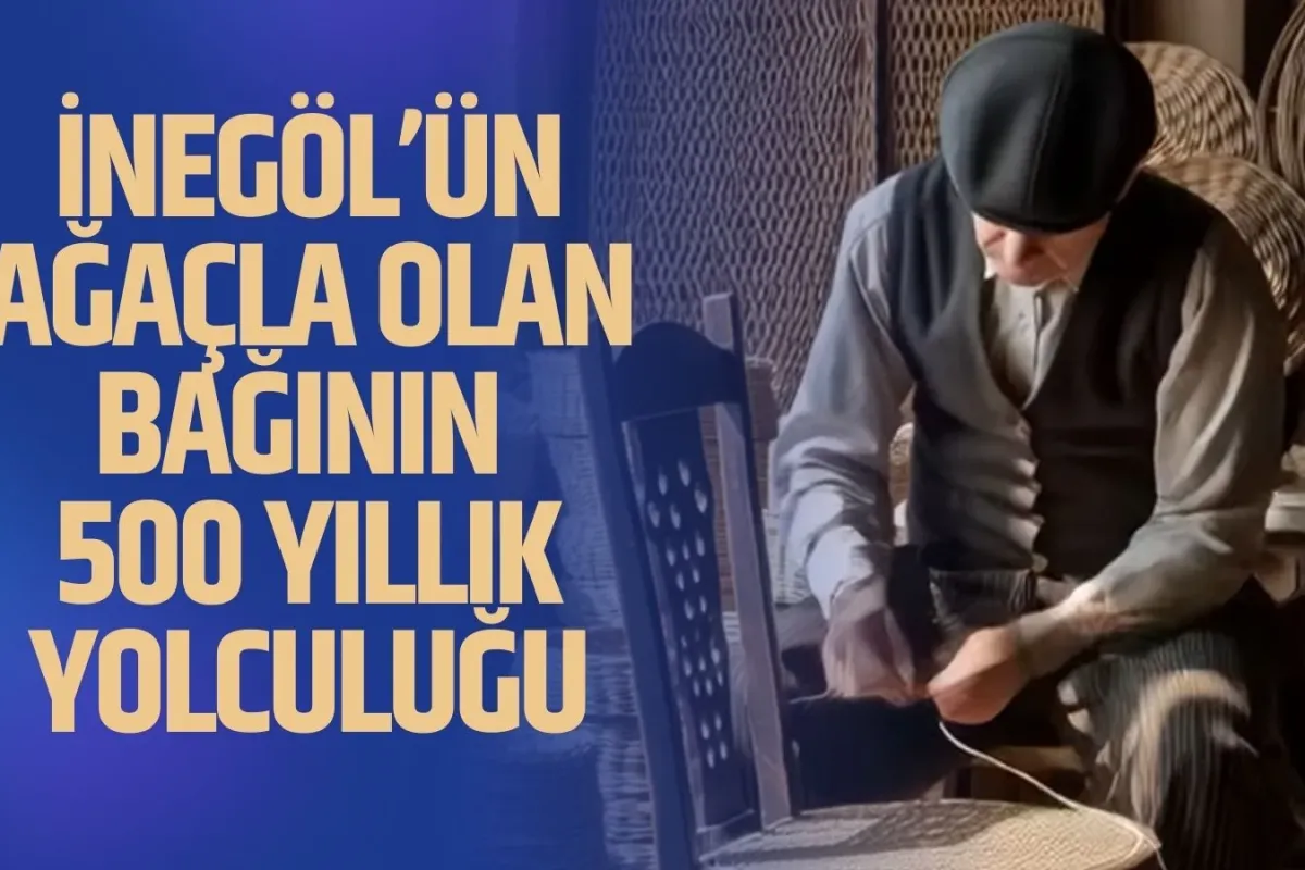 İnegöl’ün Ağaçla Olan Bağının 500 Yıllık Yolculuğu