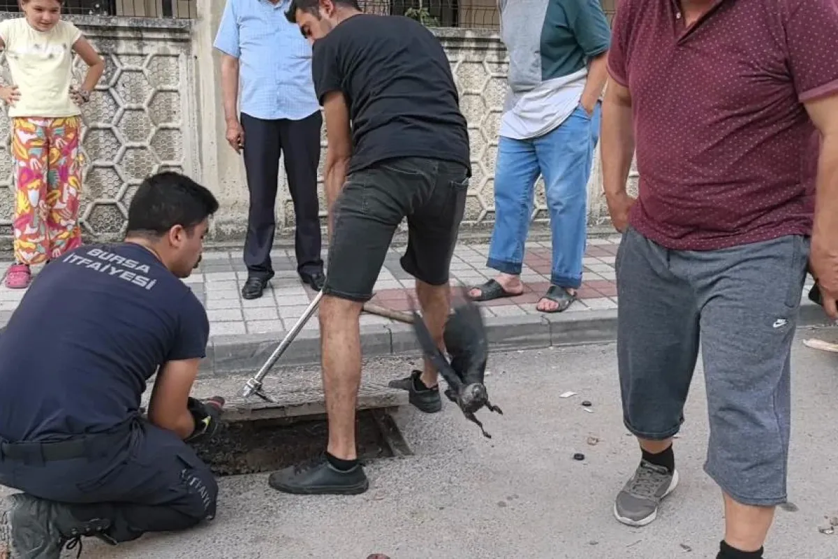 Rögarda mahsur kalan kargayı itfaiye kurtardı