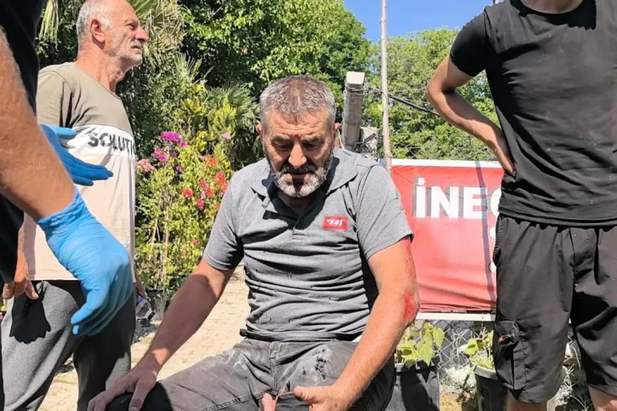 Köpeğe çarpan motosikletli yaralandı