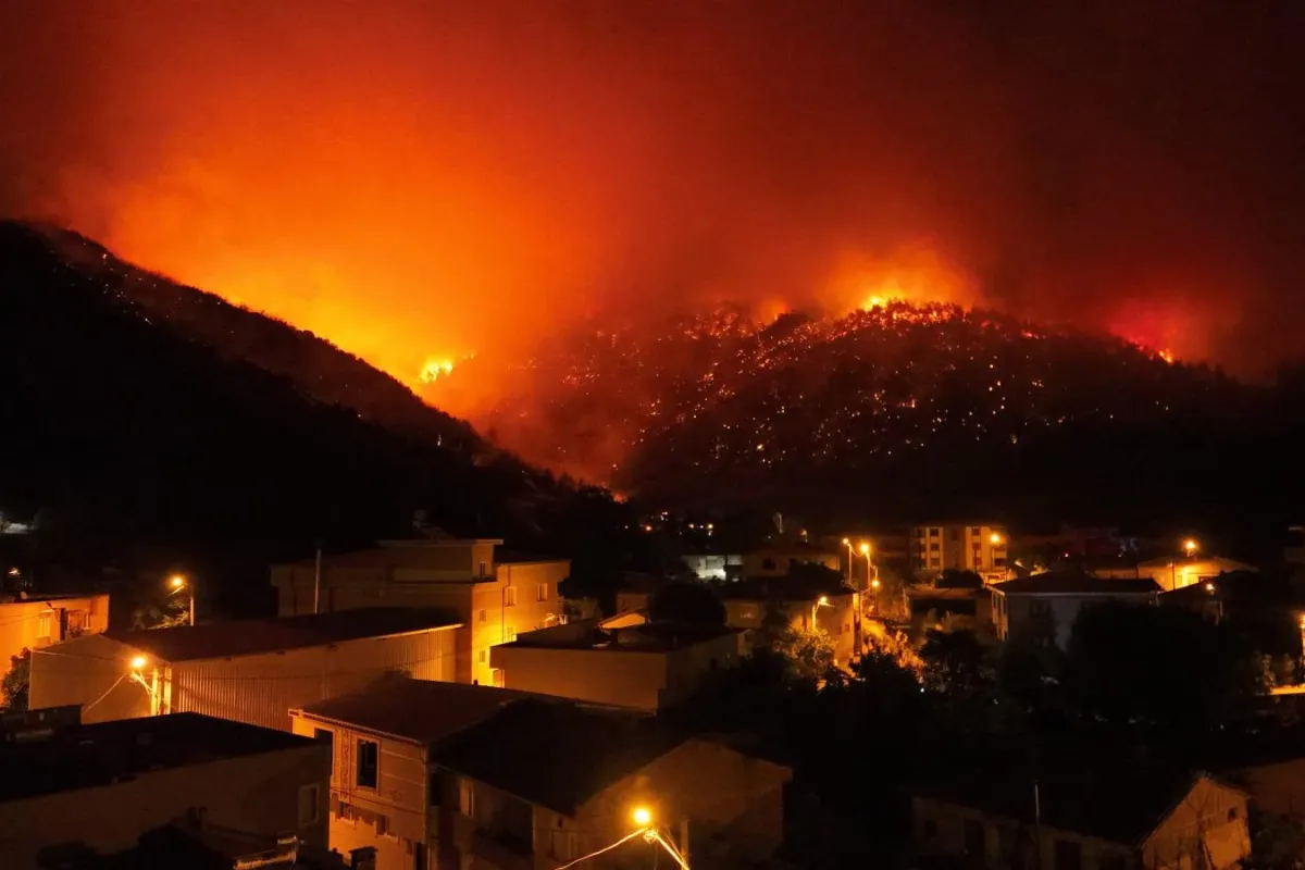 Bursa'da ki orman yangınından acı haber, 1 şehit