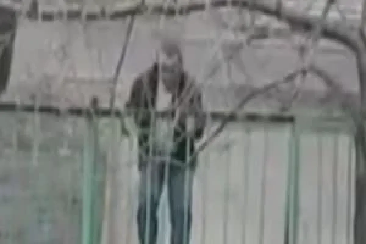 Sarhoş bu adamın yaptığına bakın!