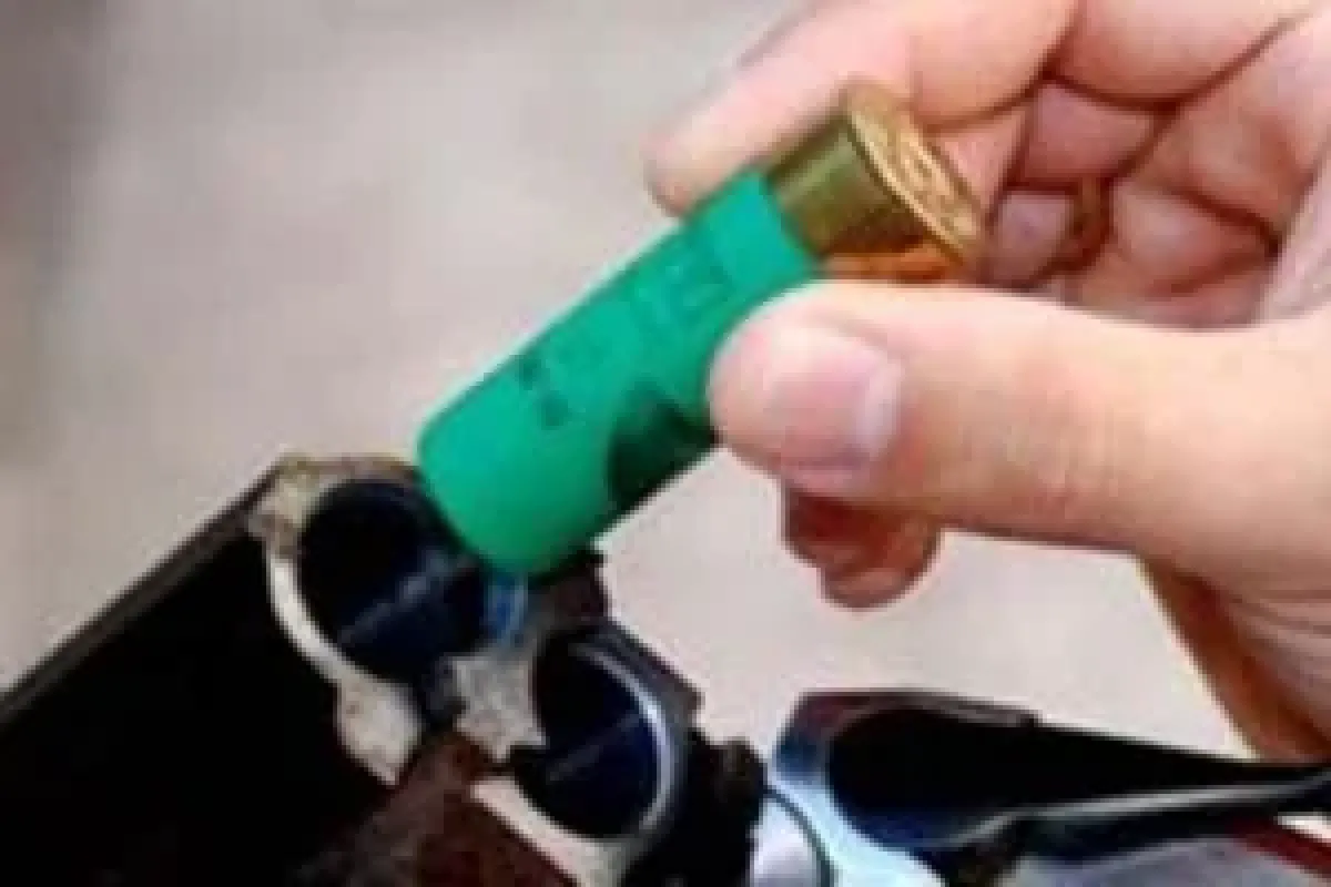 4 yaşındaki Efecan tilki avında öldü