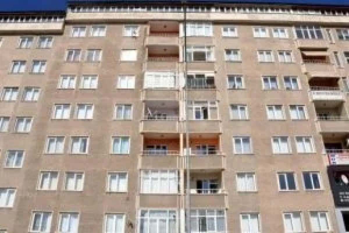 Apartmanı keneler istila etti