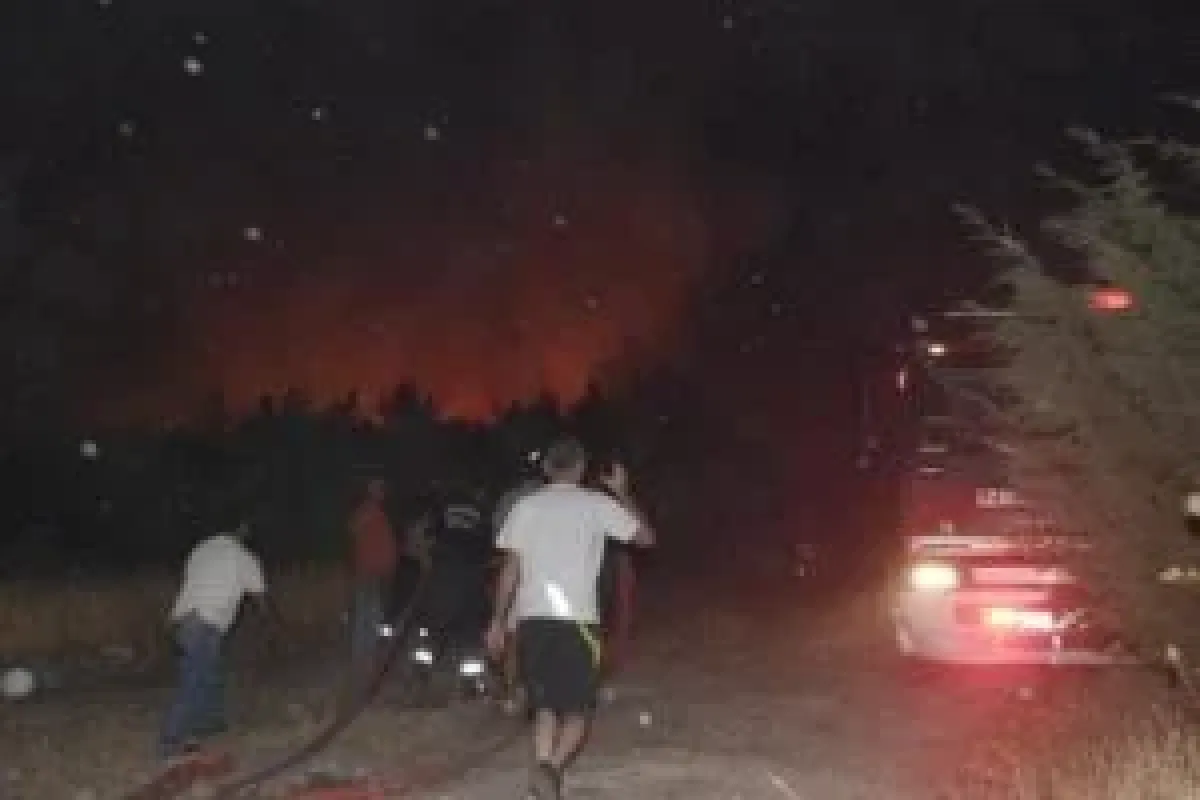 Aliağada orman yangını çıktı