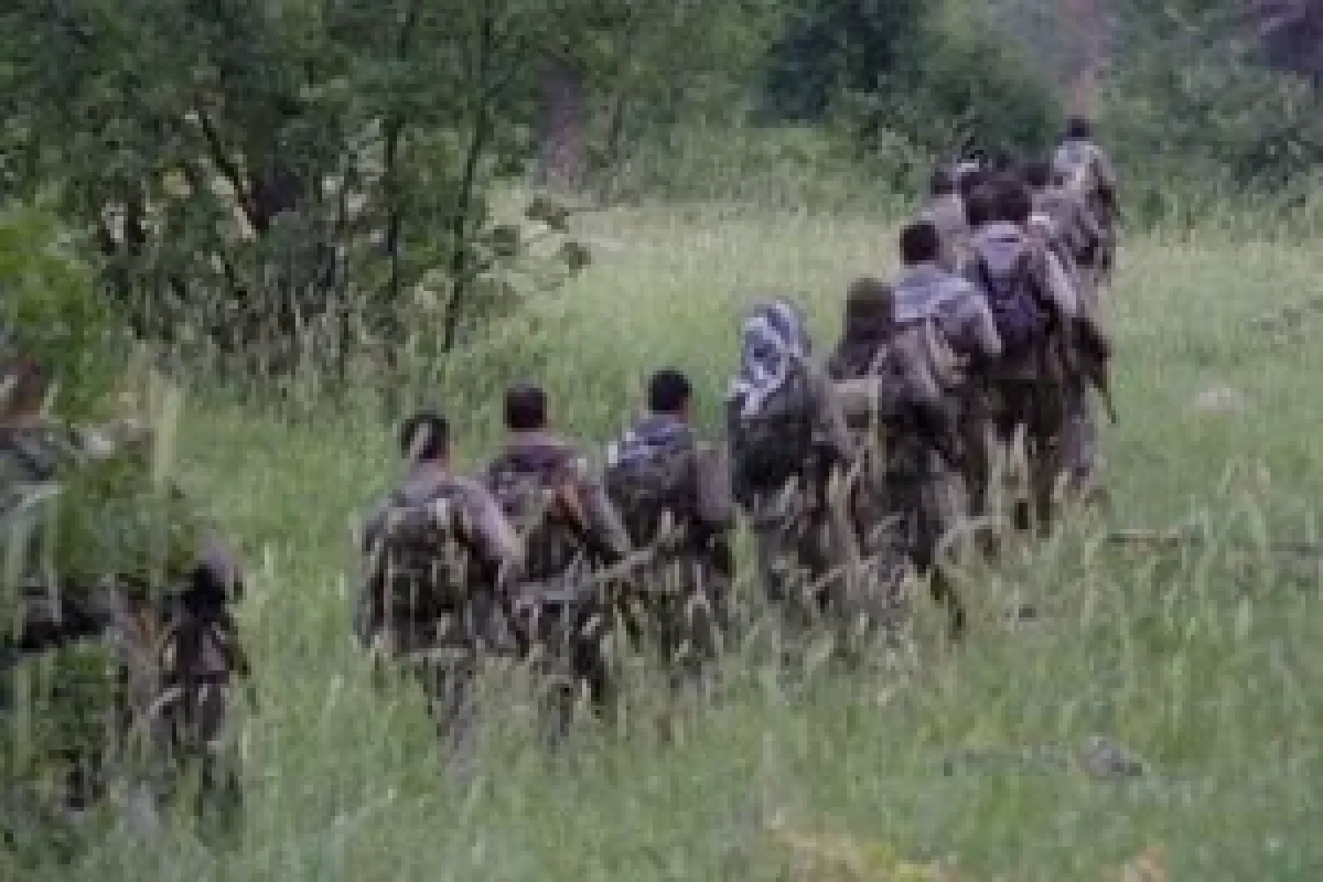 2 PKK'lı teslim oldu