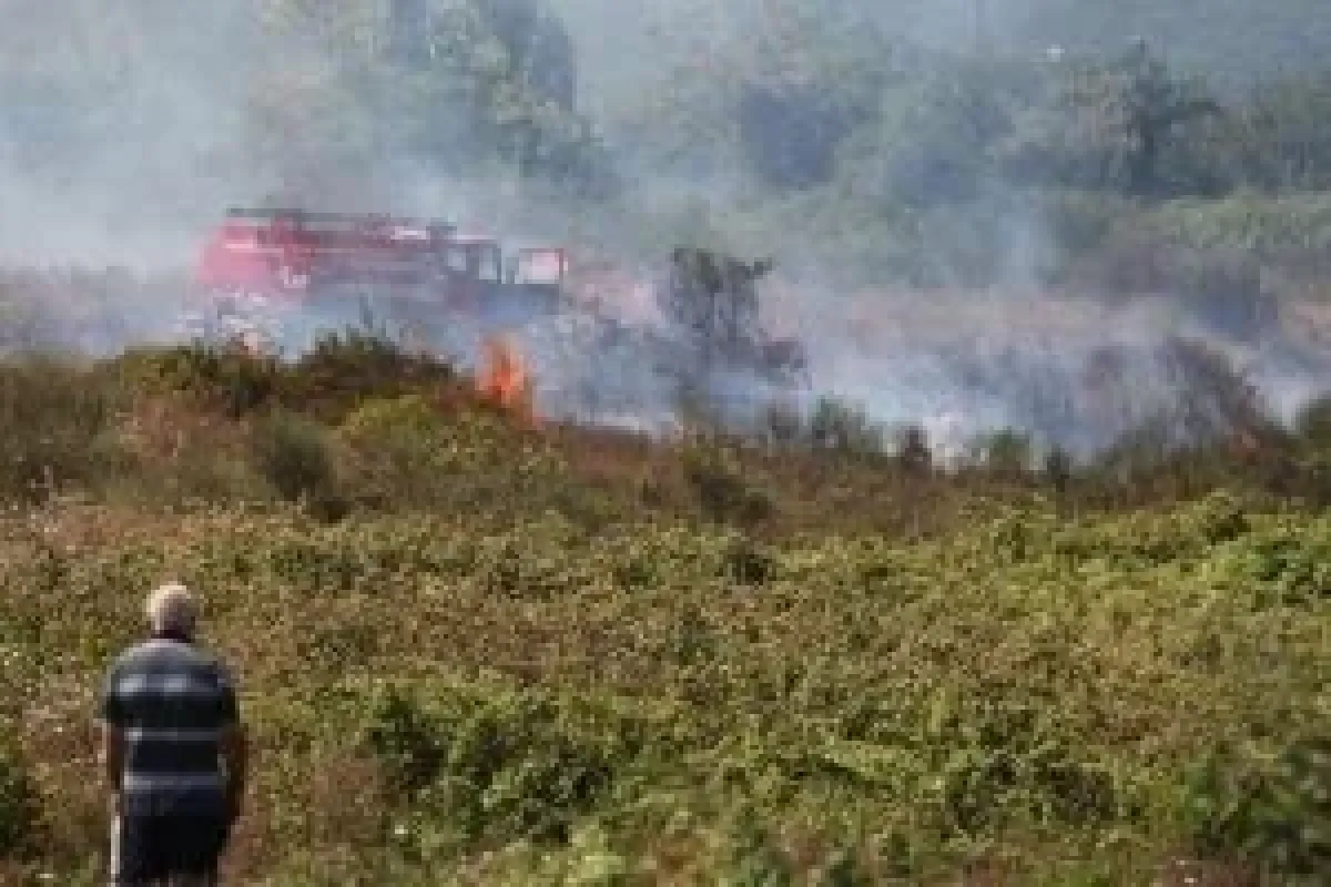 Sarıyerde yangın!