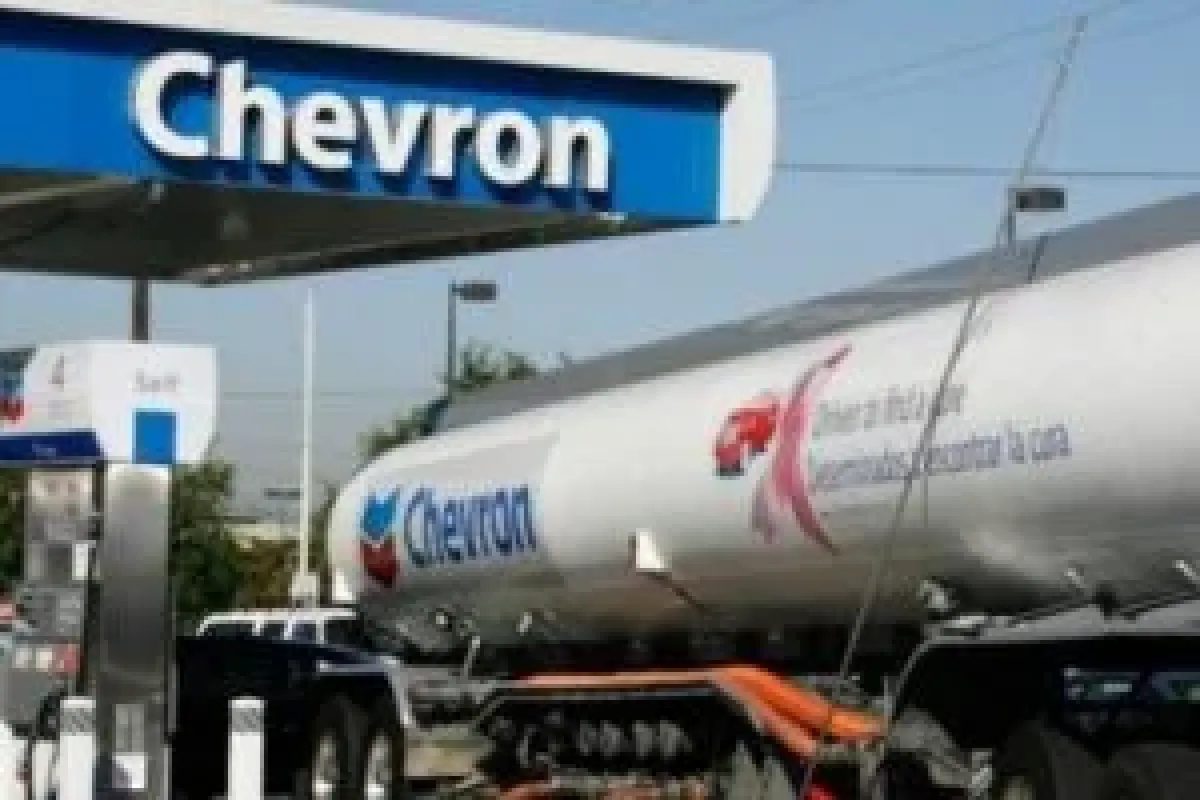 Petrol devinin karı düştü