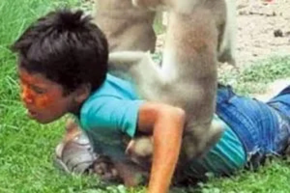 Az daha canından oluyordu
