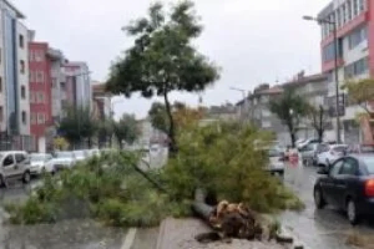 Fırtına yıktı geçti
