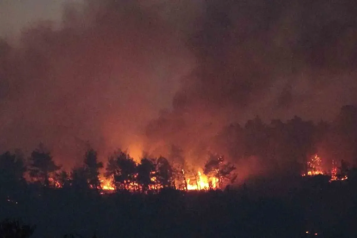 Çanakkale’deki orman yangınına karadan müdahale devam ediyor