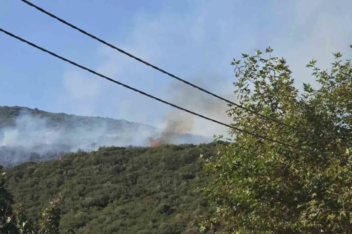 Bursa’daki orman yangını kontrol altına alındı