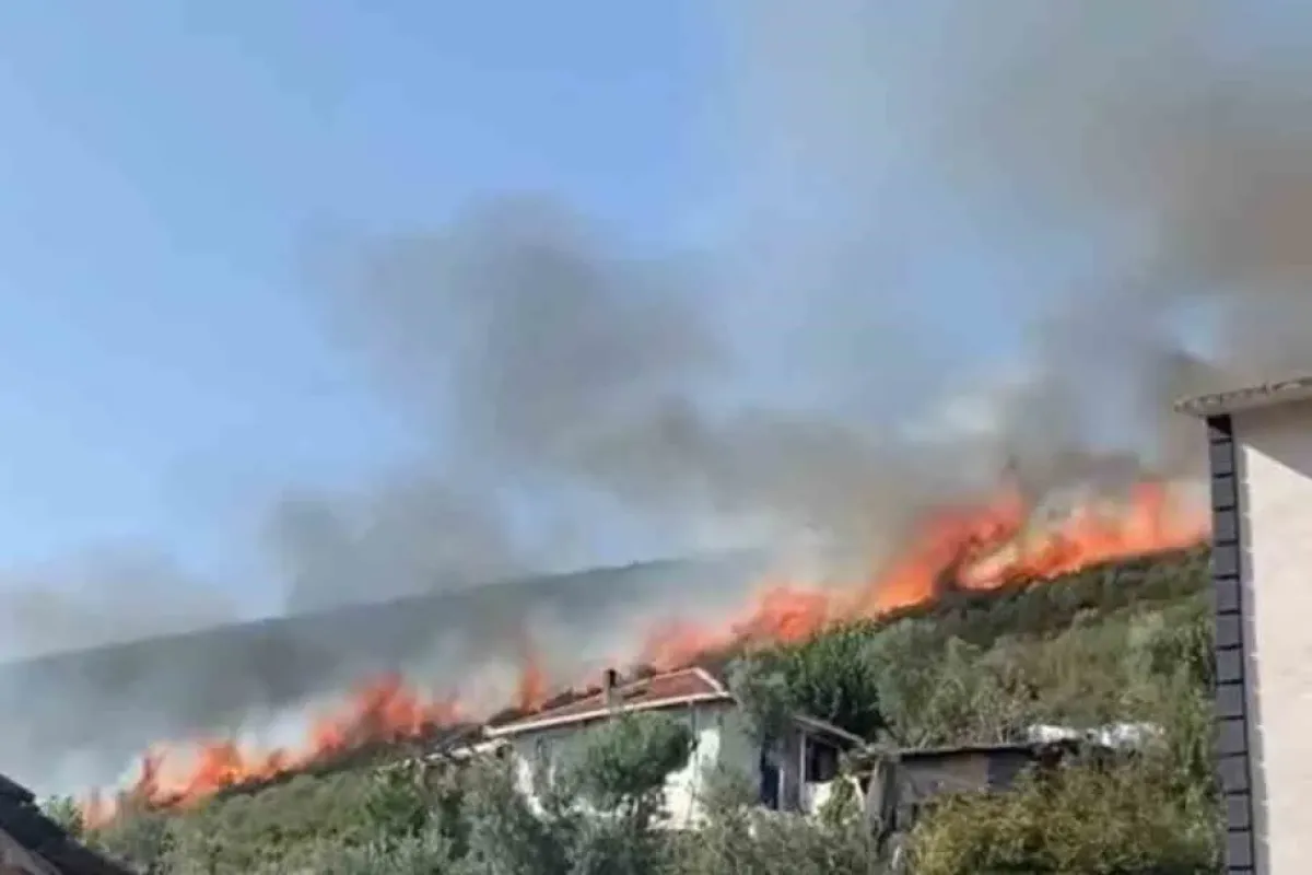 Bursa’da orman yangını...