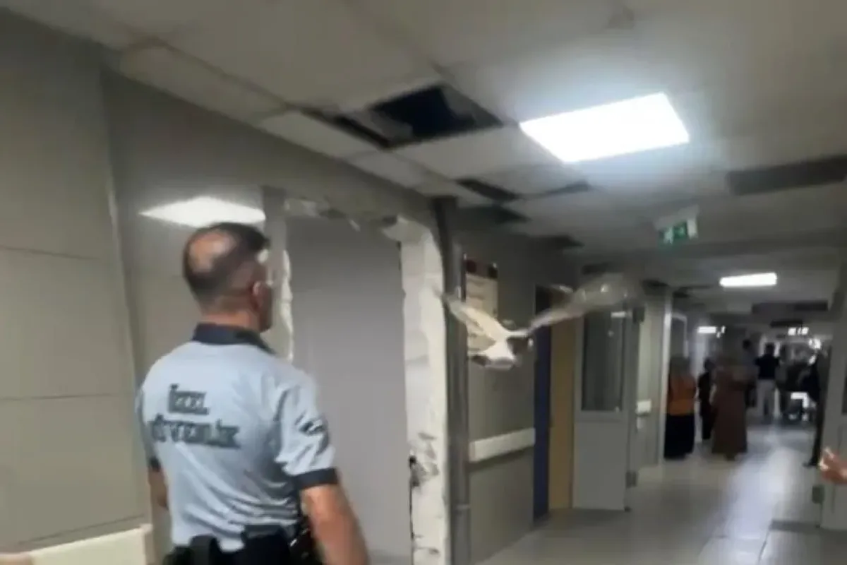 'Kanatlı' hasta acil servise iniş yaptı