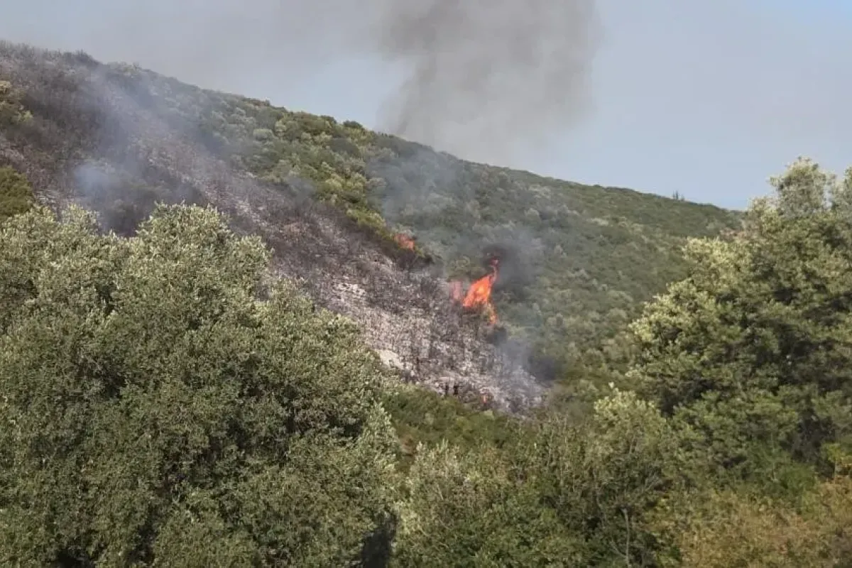 Bursa orman yangınında 1 gözaltı