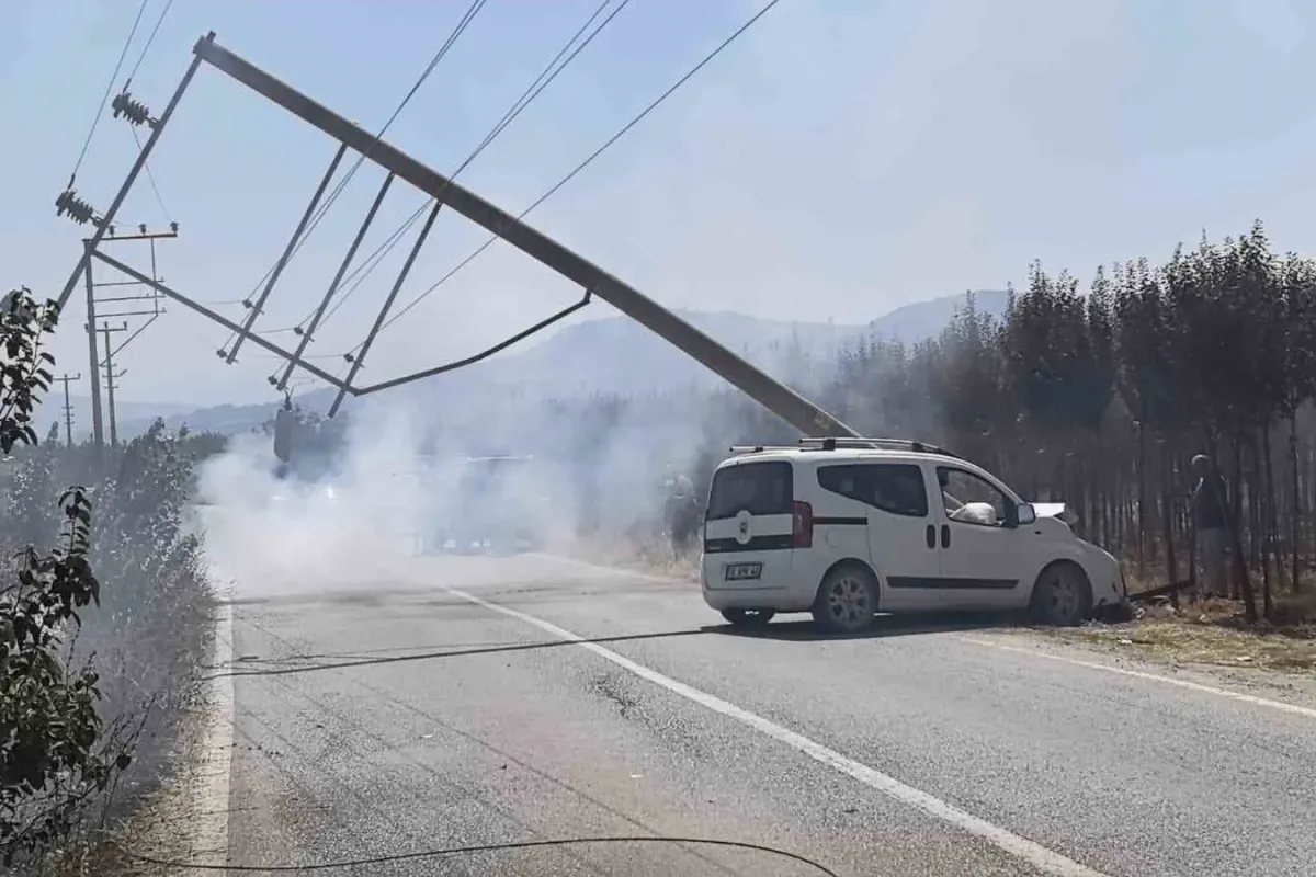 Kontrolden çıkan kamyonet elektrik direğini yerle bir etti