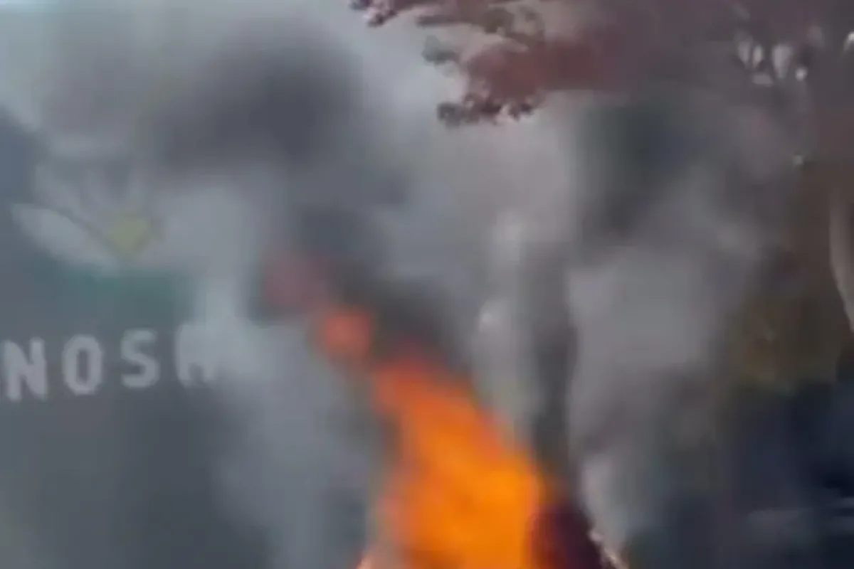 Bursa’da park halindeki otomobil alev topuna döndü