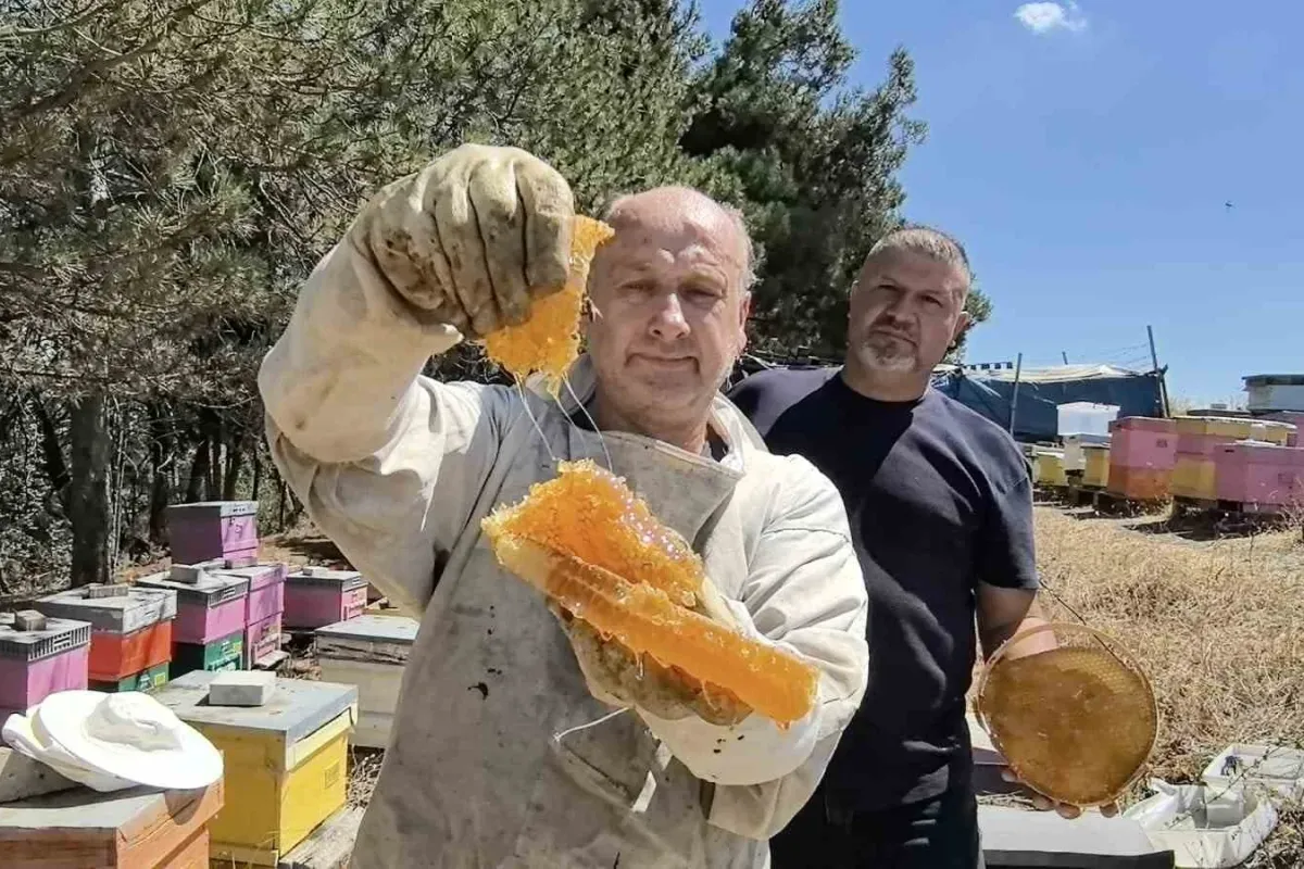 Bursa’da üretilen bu bal her derde deva