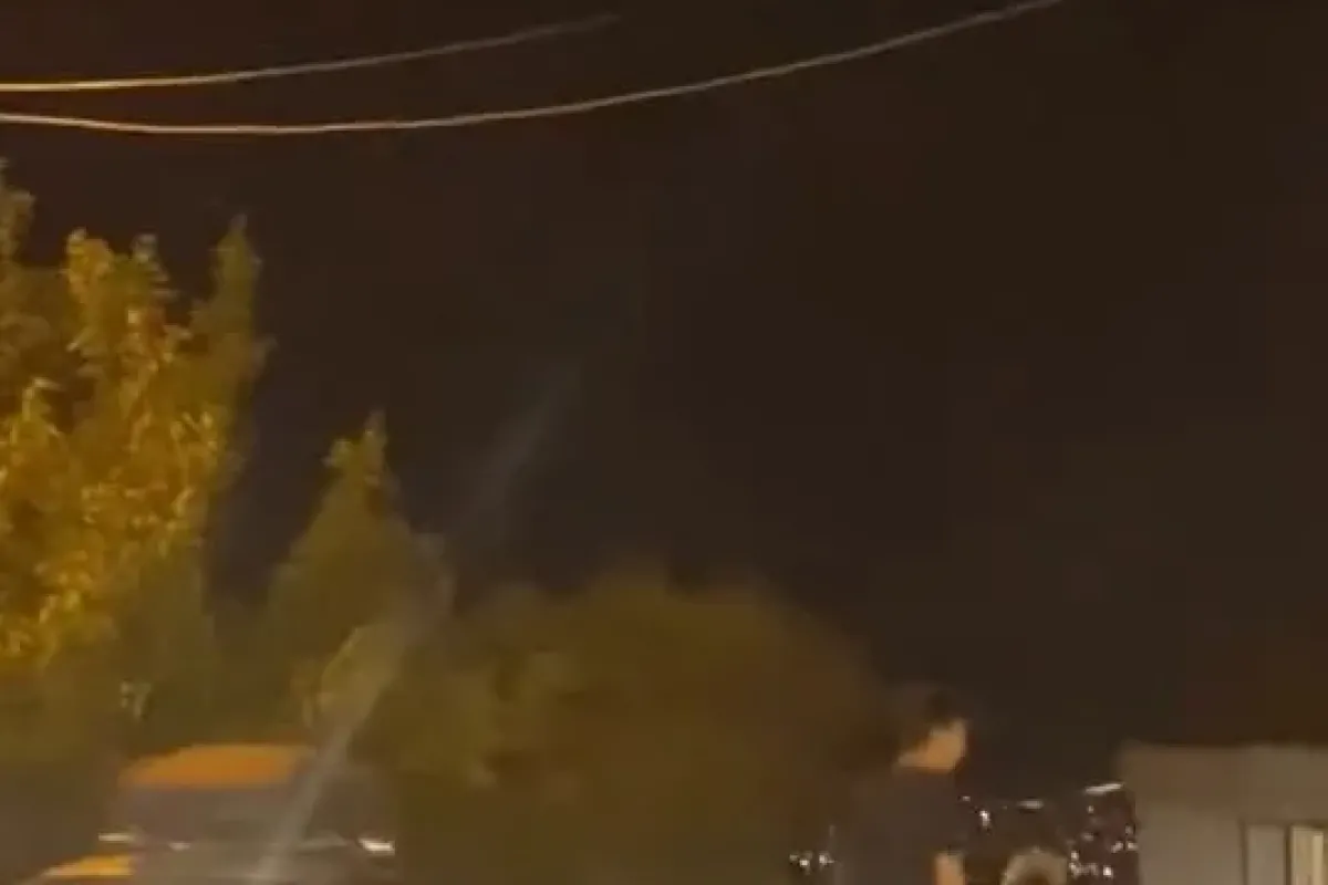 Patenli gencin tehlikeli yolculuğu
