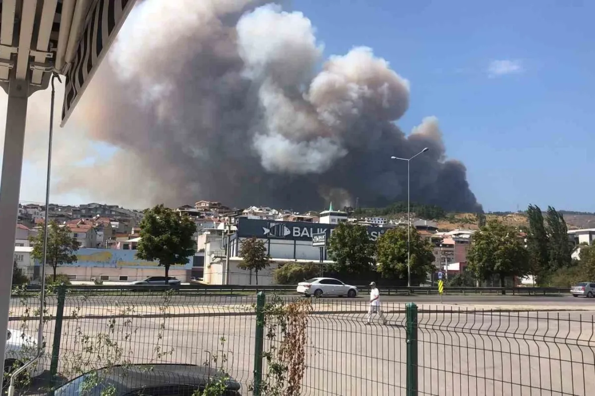 Bursa’da orman yangını
