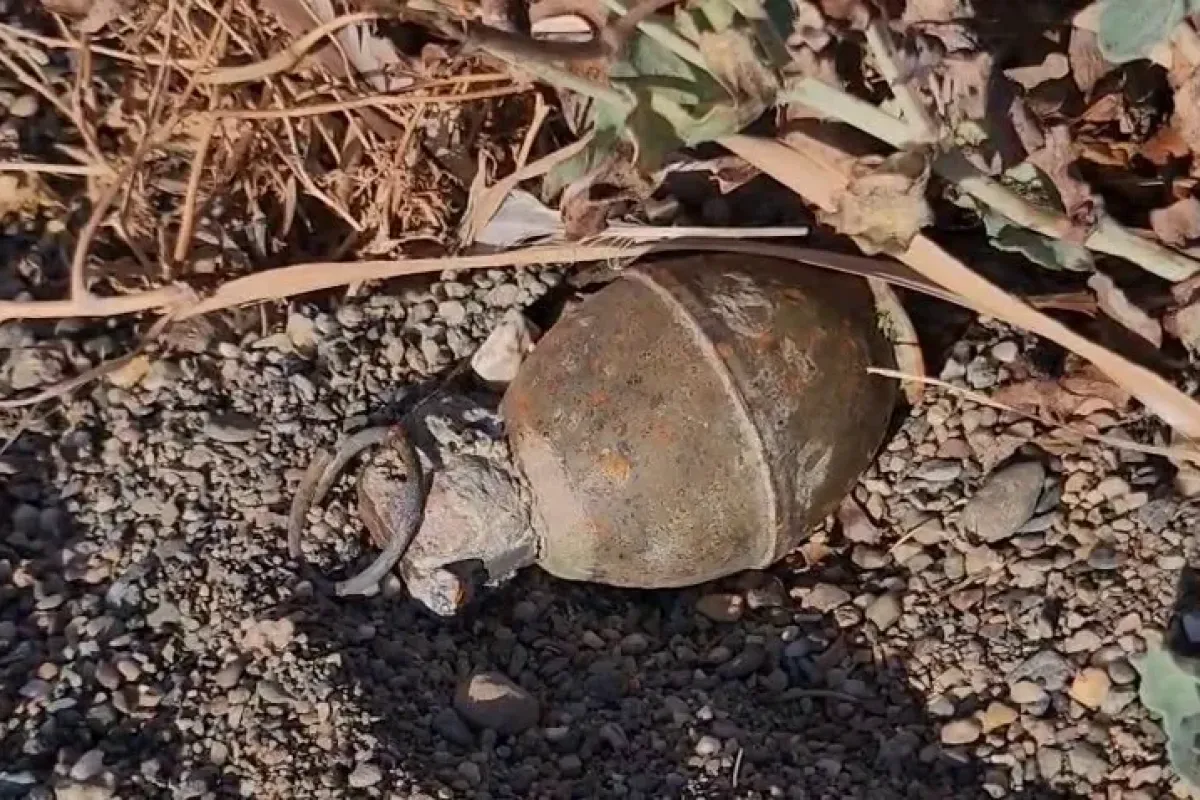 İznik Gölü sahilinde patlamamış el bombası bulundu
