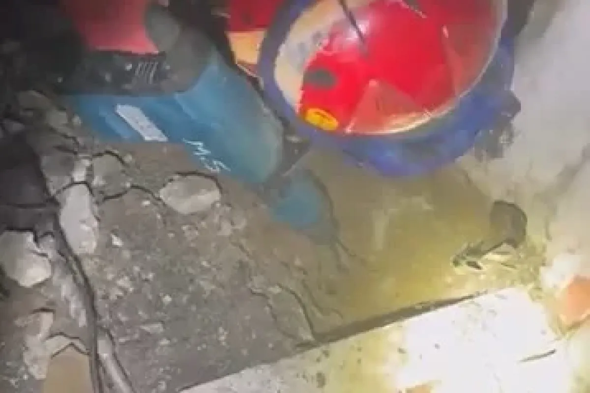 Yaramaz kedi, kaza kaza kendini toprağa gömdü