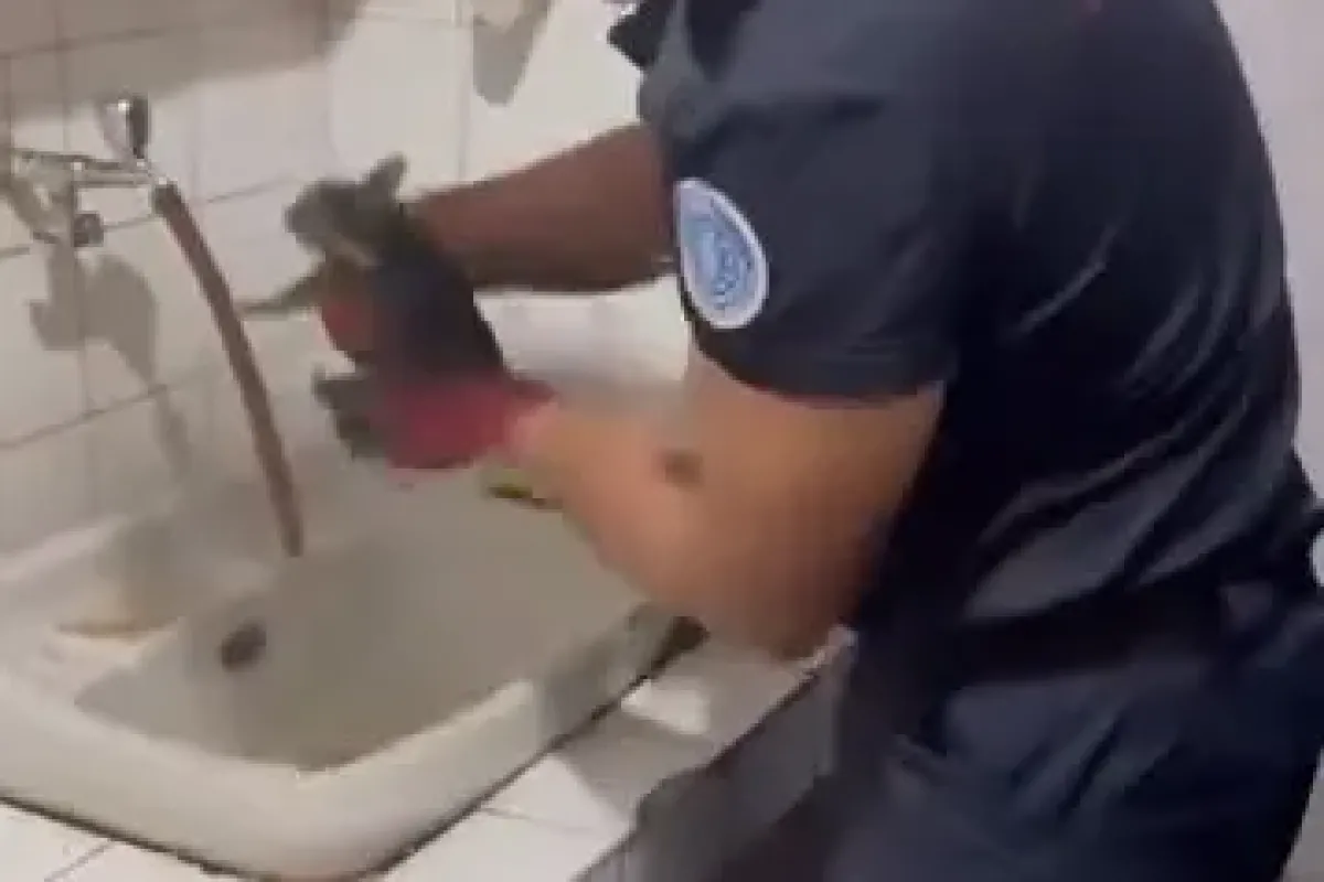 Kedidir ne yapsa yeridir: Boruya girdi, mahalle seferber oldu!