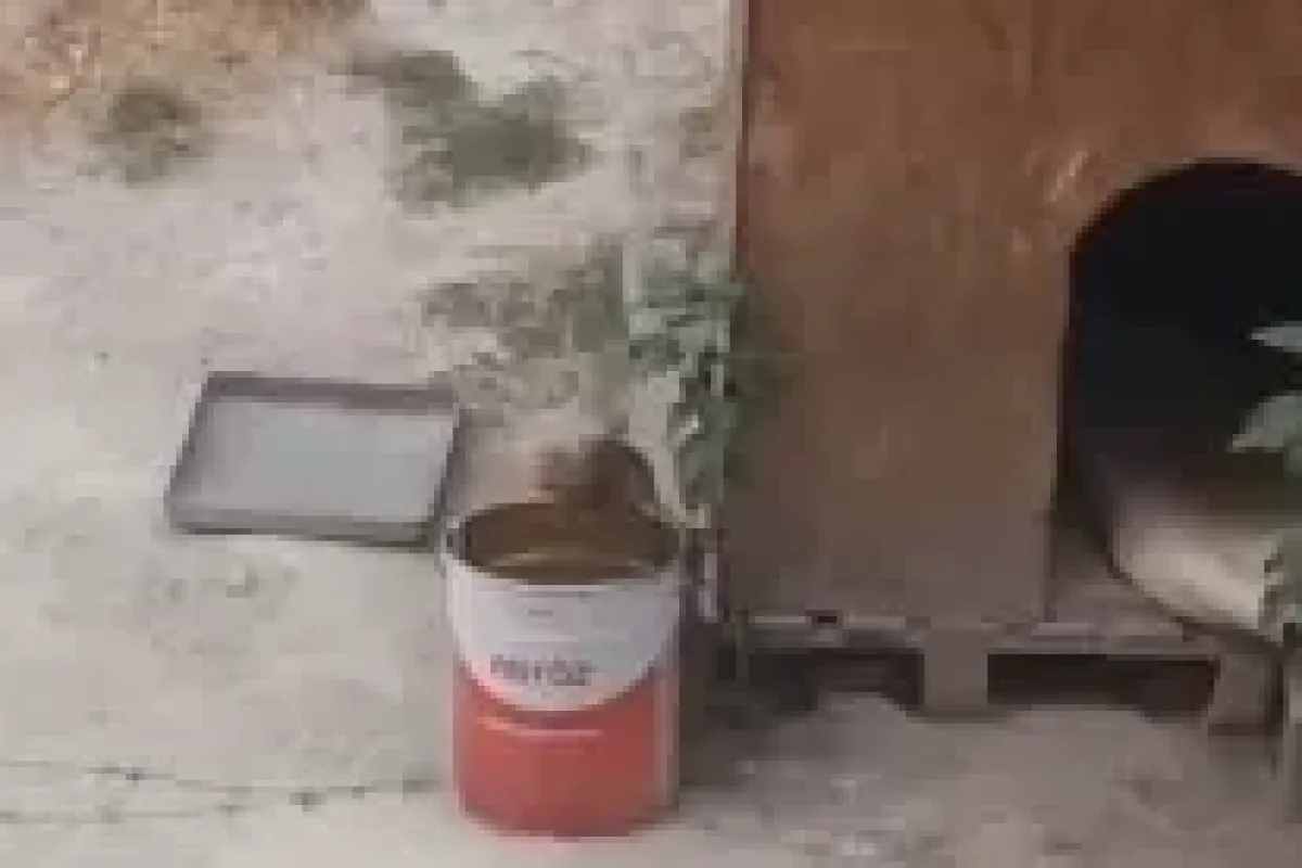 İnegöl'de o mahalleyi fareler bastı! Vatandaş tedirgin