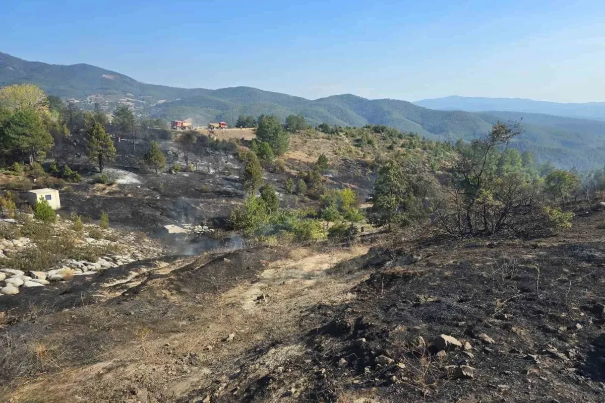Piknik Yangını Faciaya Neden Oluyordu