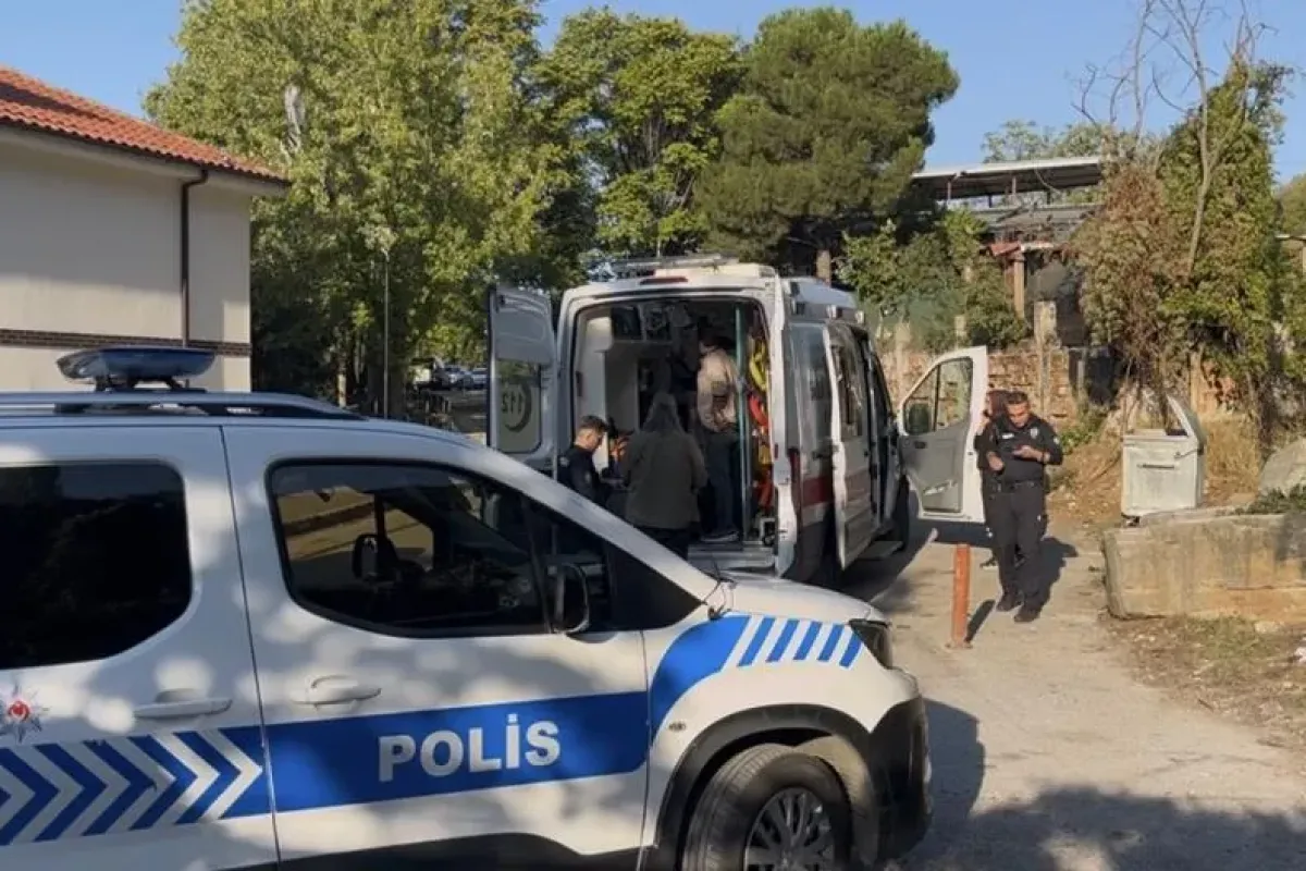 Kestane kavgası kanlı bitti
