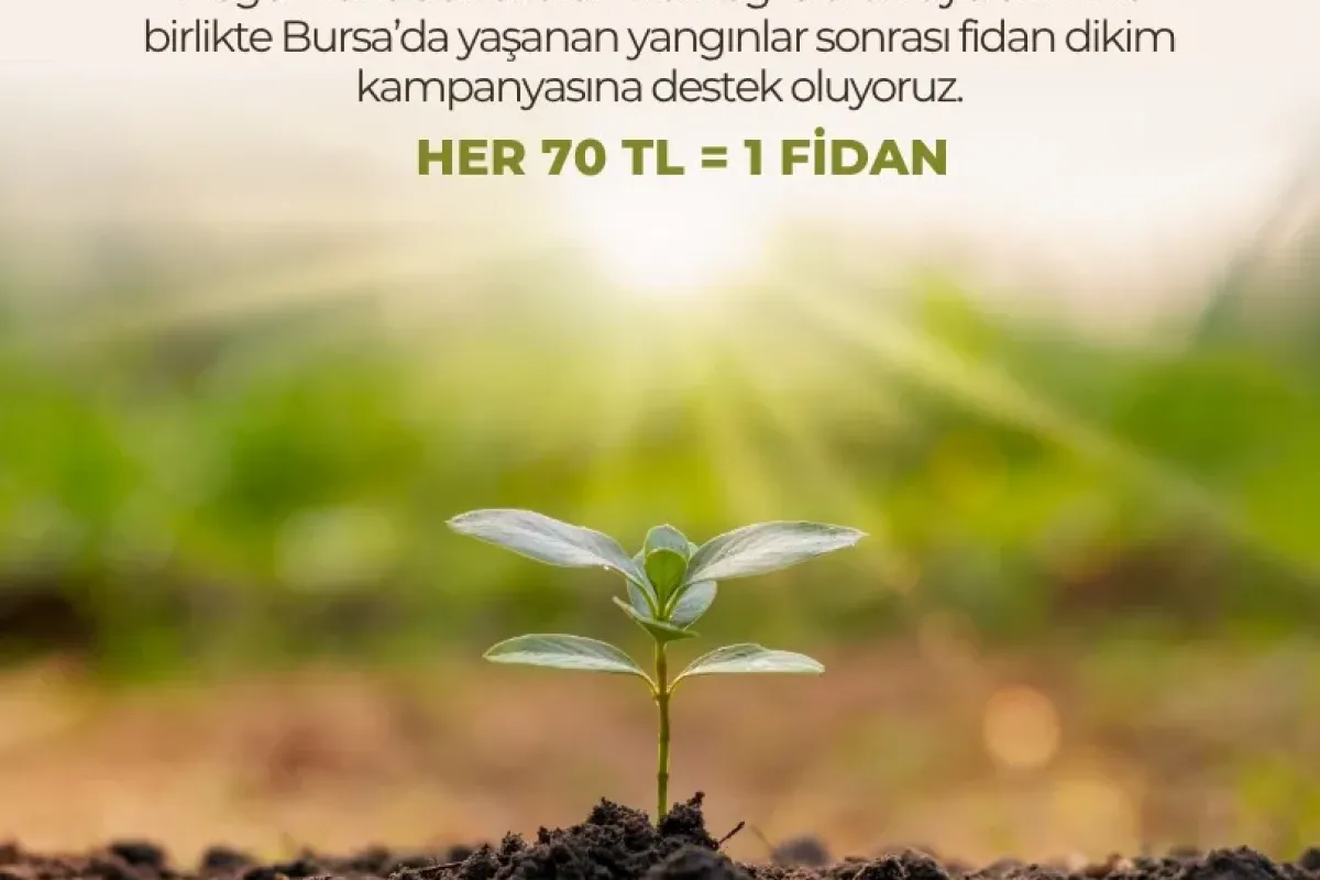 İnegöl Kent Gönüllüleriden doğaya umut veren destek