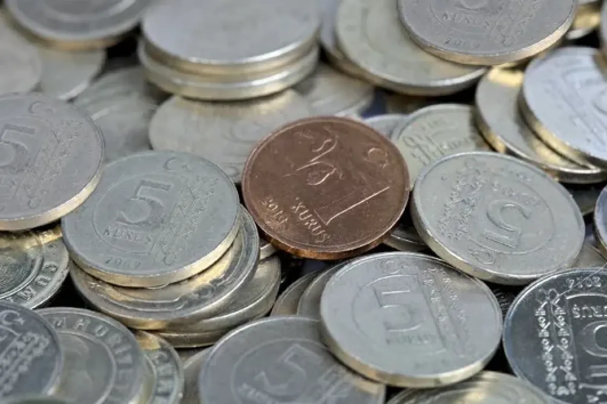 Madeni paralar geri döndü! 1, 5 ve 10 kuruşlar yeniden tedavülde