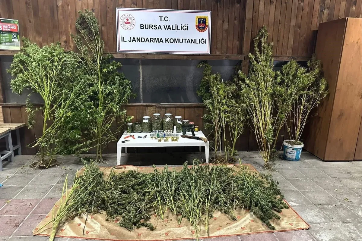 Bursa’da 9 kilo 400 gram esrar ele geçirildi