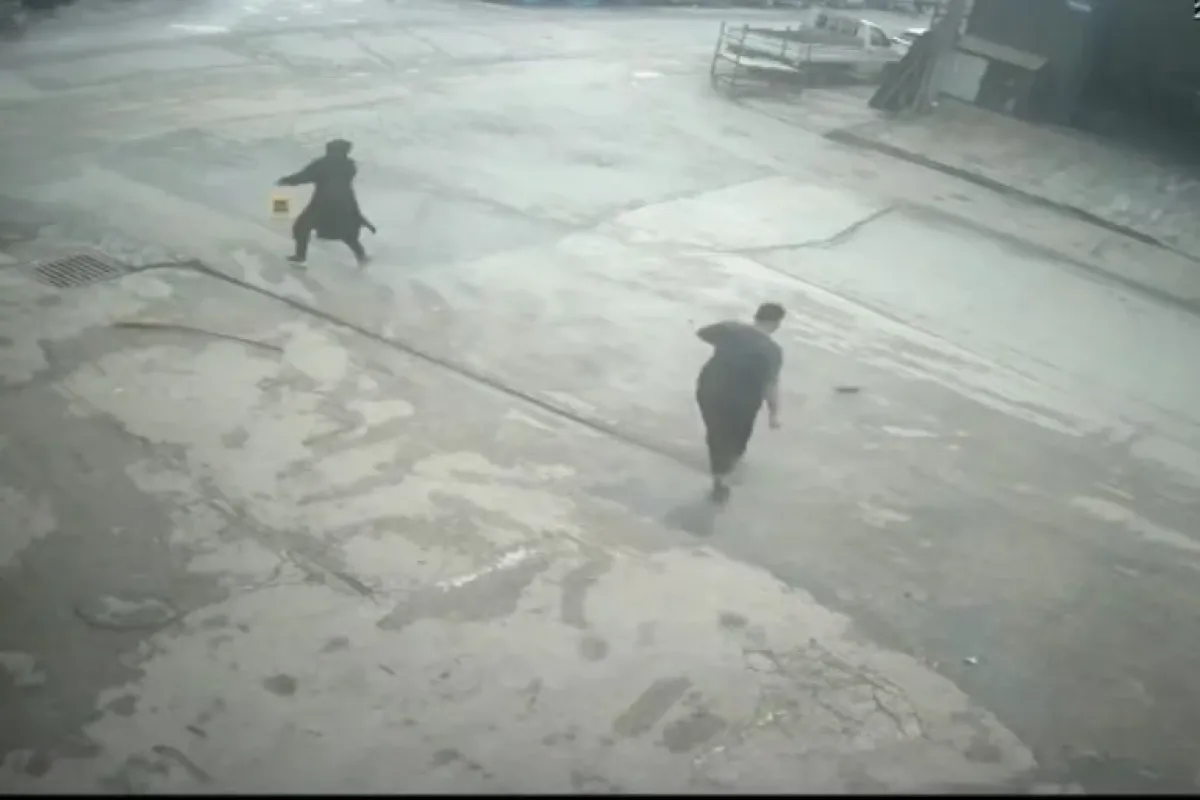 Fareyi süpürgeyle kovaladı, arkadaşı şut atar gibi tekme attı