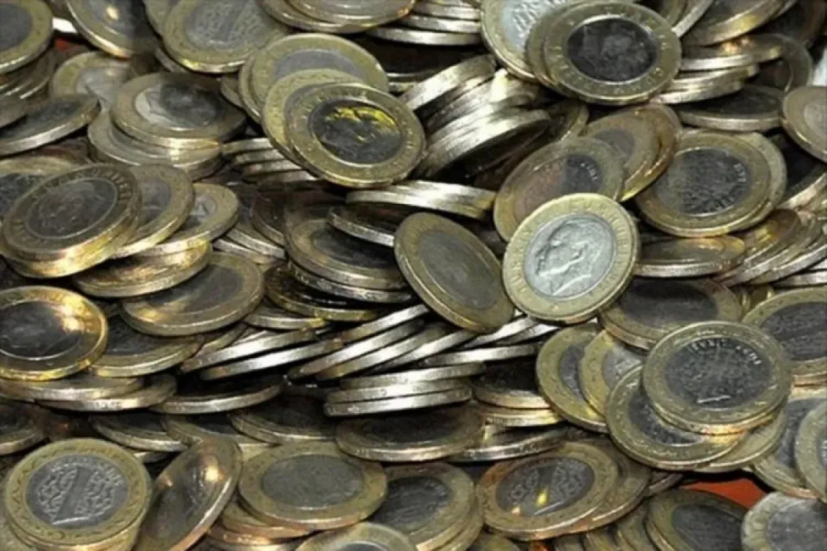 9 ayda 1 milyar lira piyasaya girdi