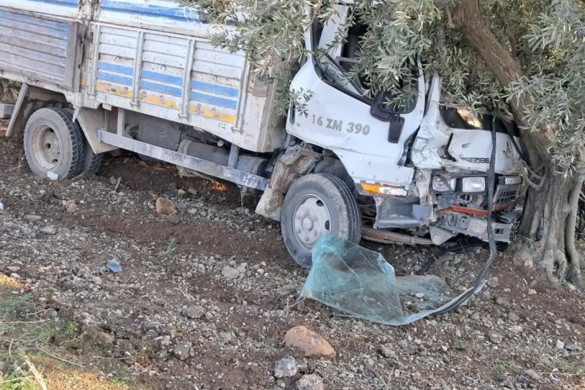Önce araca sonra ağaca çarptı; 1 yaralı