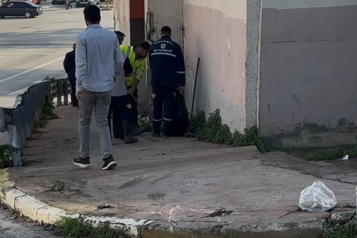 Kocaeli’de freni boşalan otobüs duvara çarptı: 3’ü polis 7 yaralı