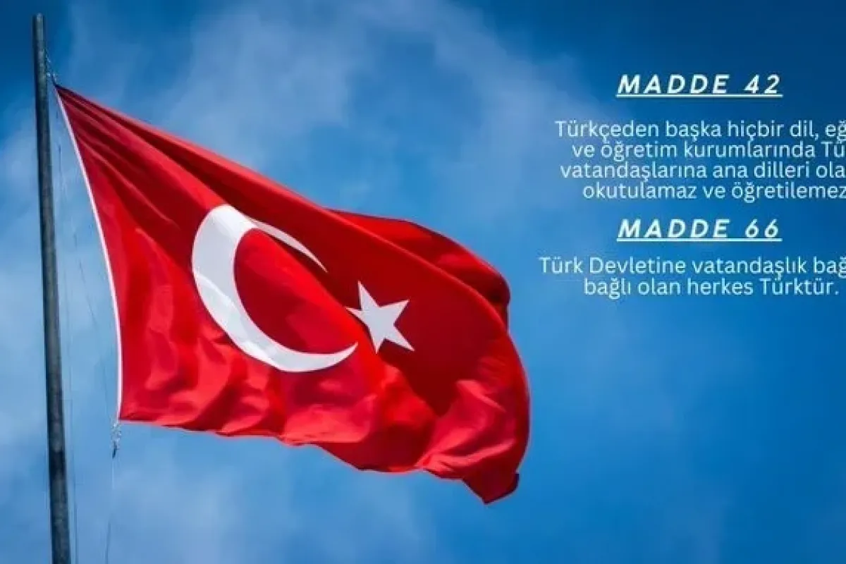 Türk Eğitim-Sen Genel Başkanı: 'Ana Dilde Eğitim Anayasaya Aykırıdır'